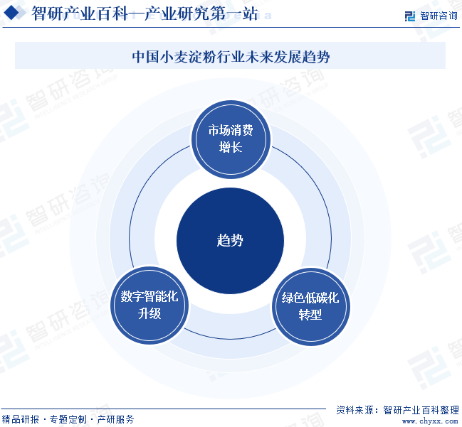 中国小麦淀粉行业未来发展趋势