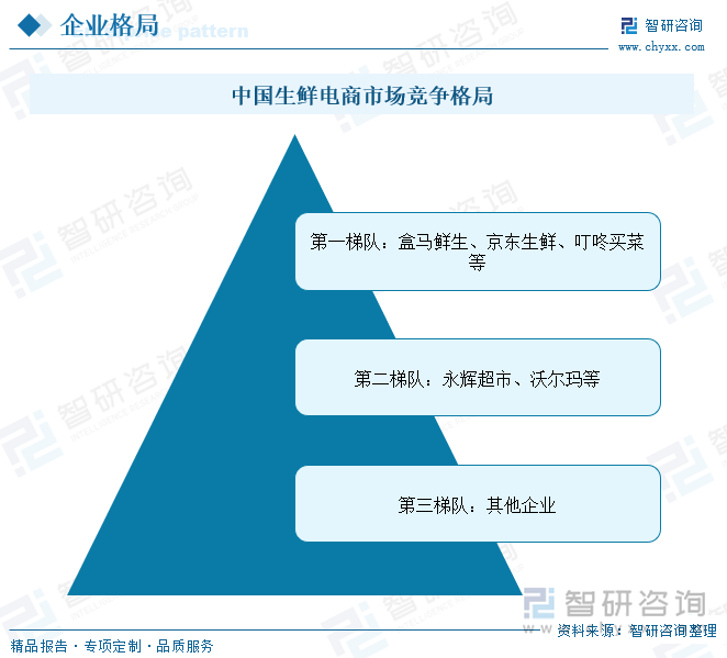 中国生鲜电商市场竞争梯队