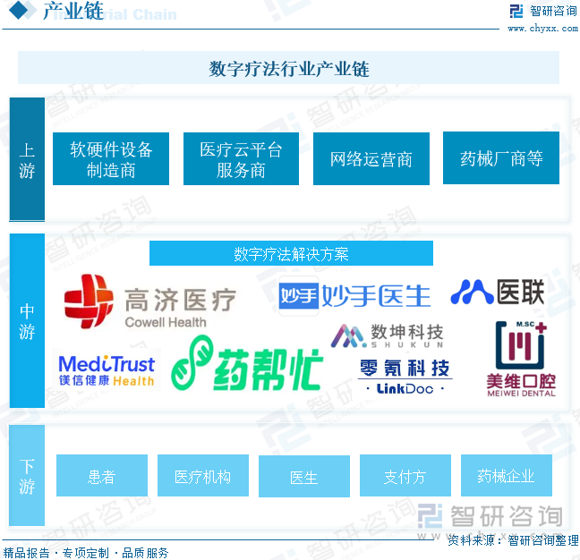 数字疗法行业产业链