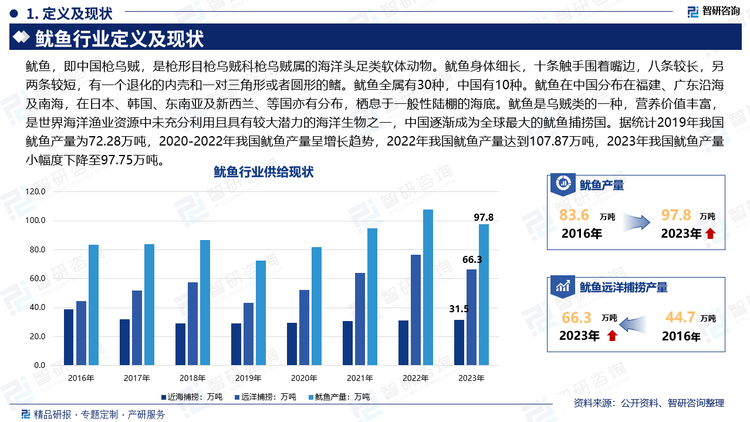 鱿鱼，即中国枪乌贼，是枪形目枪乌贼科枪乌贼属的海洋头足类软体动物。鱿鱼身体细长，十条触手围着嘴边，八条较长，另两条较短，有一个退化的内壳和一对三角形或者圆形的鳍。鱿鱼全属有30种，中国有10种。鱿鱼在中国分布在福建、广东沿海及南海，在日本、韩国、东南亚及新西兰、等国亦有分布，栖息于一般性陆棚的海底。鱿鱼是乌贼类的一种，营养价值丰富，是世界海洋渔业资源中未充分利用且具有较大潜力的海洋生物之一，中国逐渐成为全球最大的鱿鱼捕捞国。据统计2019年我国鱿鱼产量为72.28万吨，2020-2022年我国鱿鱼产量呈增长趋势，2022年我国鱿鱼产量达到107.87万吨，2023年我国鱿鱼产量小幅度下降至97.75万吨。