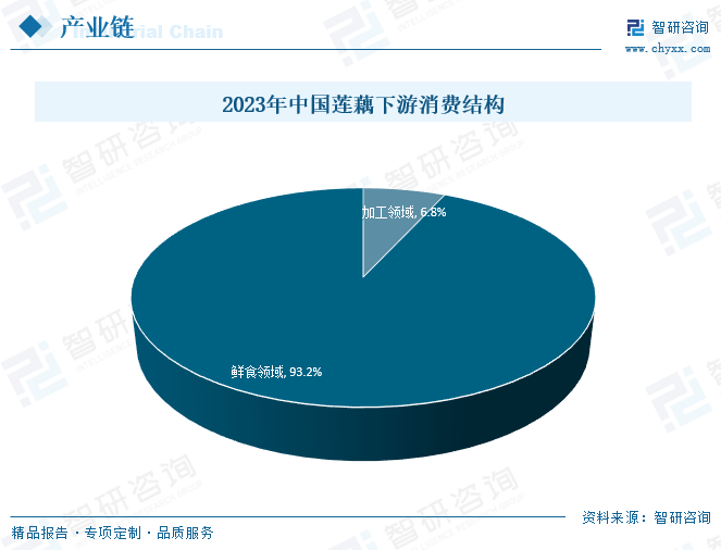 QQ截图20240926155800