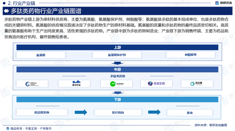 多肽药物产业链上游为原材料供应商，主要为氨基酸、氨基酸保护剂、树脂酸等；氨基酸是多肽的基本组成单位，也是多肽药物合成的关键原材料。氨基酸的供应情况直接决定了多肽药物生产的原材料基础。氨基酸的质量和多肽药物的最终品质密切相关。高质量的氨基酸有助于生产出纯度更高、活性更强的多肽药物。产业链中游为多肽药物制造业；产业链下游为销售终端，主要为药品批发商流向医疗机构，最终销售给患者。