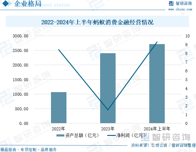 2022-2024年上半年蚂蚁消费金融经营情况