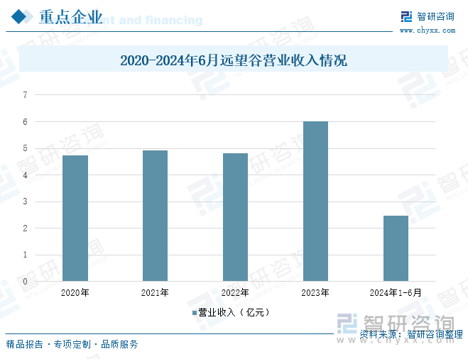 2020-2024年6月远望谷营业收入情况