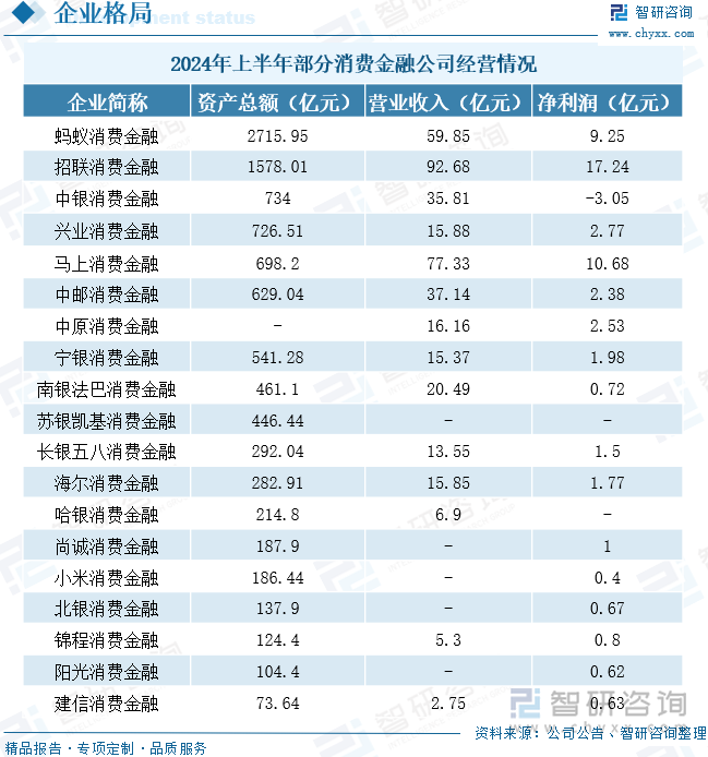 2024年上半年部分消费金融公司经营情况