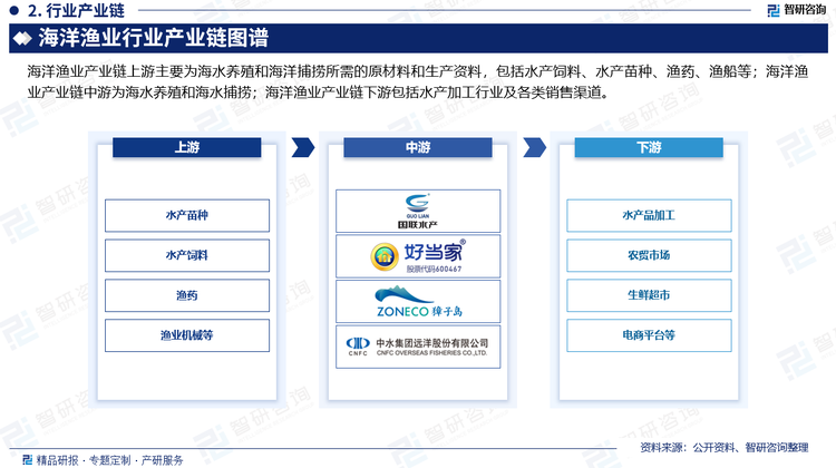 海洋渔业产业链上游主要为海水养殖和海洋捕捞所需的原材料和生产资料，包括水产饲料、水产苗种、渔药、渔船等；海洋渔业产业链中游为海水养殖和海水捕捞；海洋渔业产业链下游包括水产加工行业及各类销售渠道。随着产业内分工不断向纵深发展，产业链内不同类型的价值活动不再是由单个行为主体，而是由多个行为主体创造的，正是这一系列互不相同但又互相关联的经济活动的总和构成了整个的产业价值链，且将海洋渔业行业链条分为上游、中游、下游三个环节的联盟关系，各环节互相依存、密不可分。