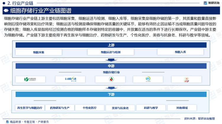 细胞存储行业产业链上游主要包括细胞采集、细胞运送与检测、细胞入库等，细胞采集是细胞存储的第一步，其质量和数量直接影响到后续存储效果和治疗效果；细胞运送与检测是确保细胞存储质量的关键环节，能够有效防止因运输不当或细胞质量问题导致的存储失败；细胞入库是指将经过检测合格的细胞样本存储到特定的容器中，并放置在适当的条件下进行长期保存。产业链中游主要为细胞存储。产业链下游主要应用于再生医学与细胞治疗、药物研发与生产、个性化医疗、美容与抗衰老、科研与教学等领域。