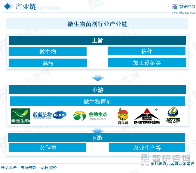 微生物菌剂行业产业链 