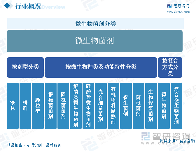 微生物菌剂分类