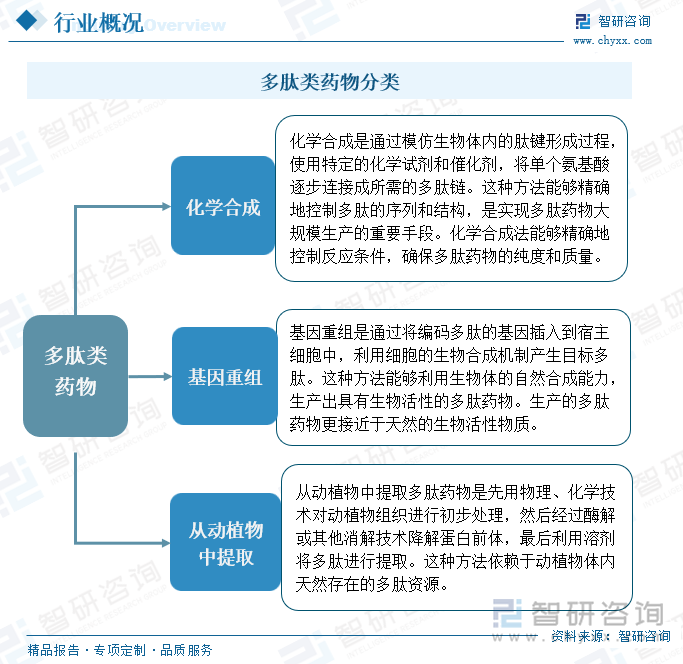 多肽类药物分类