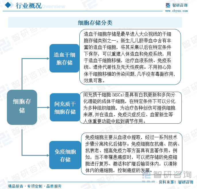 细胞存储分类