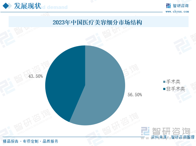 2023年中国医疗美容细分市场结构