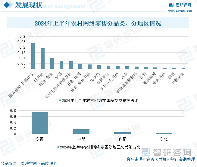 2024年上半年农村网络零售分品类、分地区情况