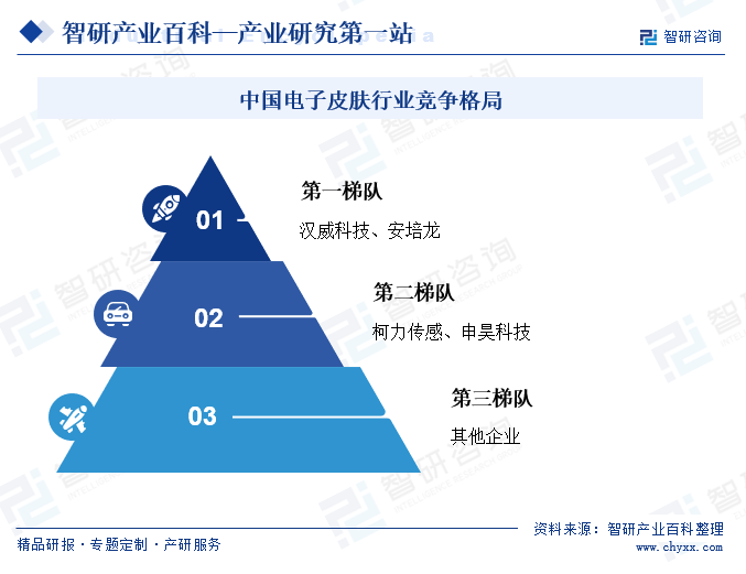 中国电子皮肤行业竞争格局