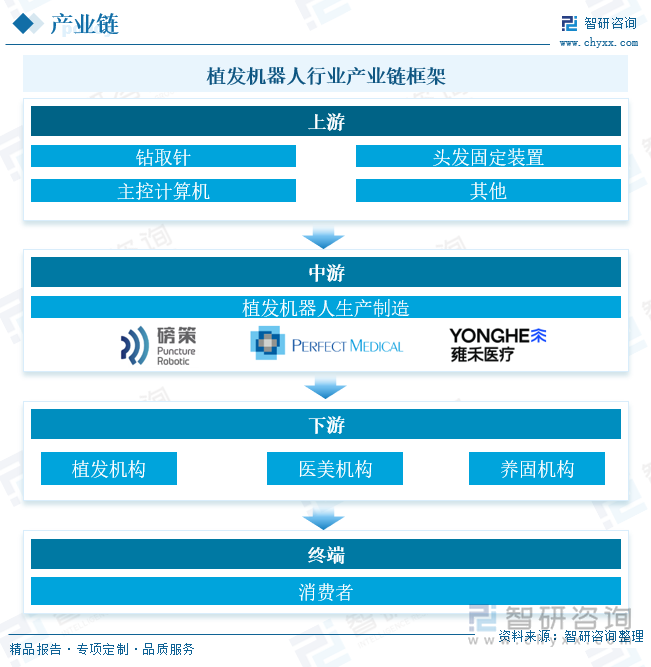 植发机器人产业链框架