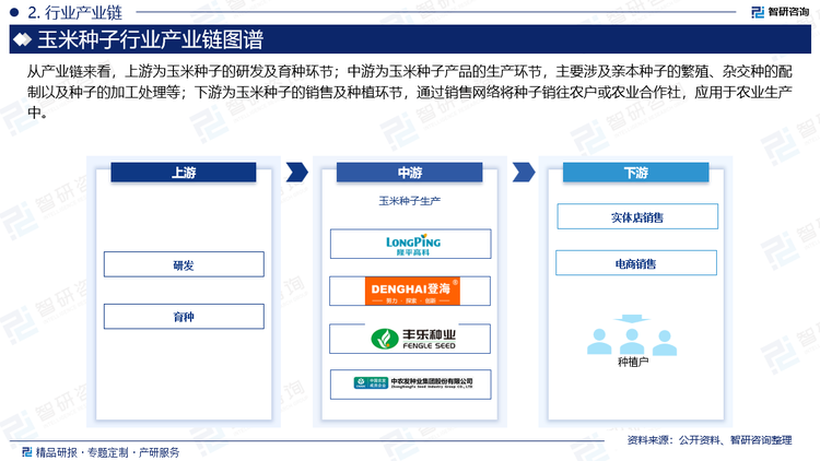 从产业链来看，上游为玉米种子的研发及育种环节；中游为玉米种子产品的生产环节，主要涉及亲本种子的繁殖、杂交种的配制以及种子的加工处理等；下游为玉米种子的销售及种植环节，通过销售网络将种子销往农户或农业合作社，应用于农业生产中。