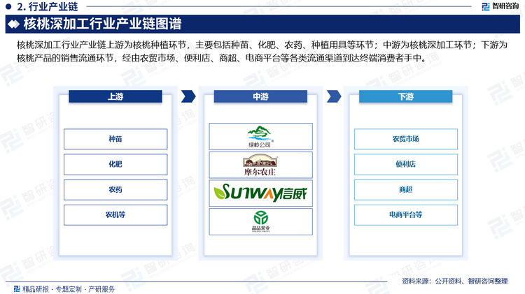 核桃深加工行业产业链上游为核桃种植环节，主要包括种苗、化肥、农药、种植用具等环节；中游为核桃深加工环节，主要包括核桃油、核桃粉、核桃休闲食品、核桃饮品等产品；下游为核桃深加工产品的销售流通环节，经由农贸市场、便利店、商超、电商平台等各类流通渠道到达终端消费者手中。