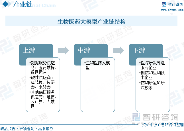 生物医药大模型产业链结构