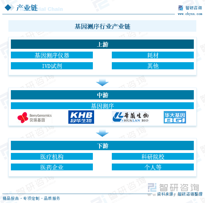 基因测序行业产业链