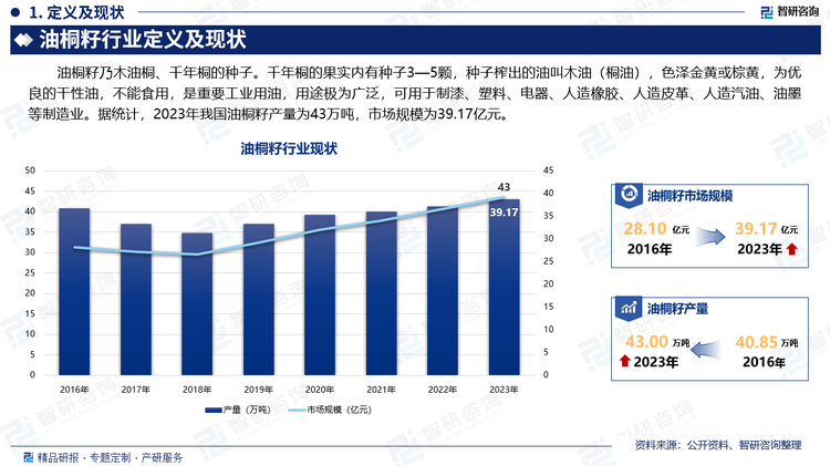 油桐籽乃木油桐、千年桐的种子。千年桐的果实内有种子3—5颗，种子榨出的油叫木油（桐油），色泽金黄或棕黄，为优良的干性油，不能食用，是重要工业用油，用途极为广泛，可用于制漆、塑料、电器、人造橡胶、人造皮革、人造汽油、油墨等制造业。据统计，2023年我国油桐籽产量为43万吨，市场规模为39.17亿元。