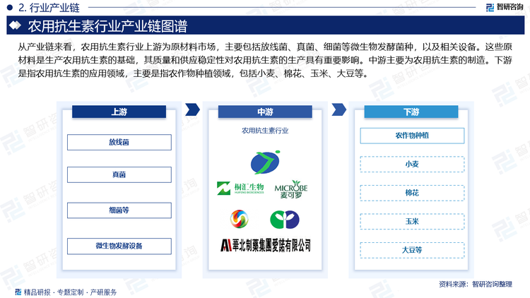 从产业链来看，农用抗生素行业上游为原材料市场，主要包括放线菌、真菌、细菌等微生物发酵菌种，以及相关设备。这些原材料是生产农用抗生素的基础，其质量和供应稳定性对农用抗生素的生产具有重要影响。中游主要为农用抗生素的制造。下游是指农用抗生素的应用领域，主要是指农作物种植领域，包括小麦、棉花、玉米、大豆等。