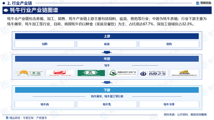 牦牛全产业链包含养殖、加工、销售，牦牛产业链上游主要包括饲料、疫苗、兽药等行业；中游为牦牛养殖；行业下游主要为牦牛屠宰、牦牛加工等行业，目前，我国牦牛仍以鲜食（家庭及餐饮）为主，占比高达67.7%，深加工领域仅占32.3%。