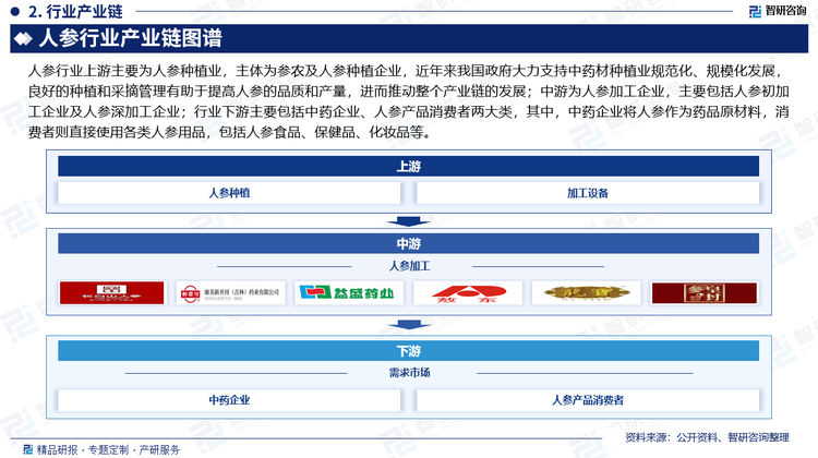 人参行业上游主要为人参种植业，主体为参农及人参种植企业，近年来我国政府大力支持中药材种植业规范化、规模化发展，良好的种植和采摘管理有助于提高人参的品质和产量，进而推动整个产业链的发展；中游为人参加工企业，主要包括人参初加工企业及人参深加工企业；行业下游主要包括中药企业、人参产品消费者两大类，其中，中药企业将人参作为药品原材料，消费者则直接使用各类人参用品，包括人参食品、保健品、化妆品等。