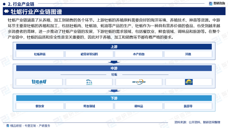 牡蛎产业链涵盖了从养殖、加工到销售的各个环节。上游牡蛎的养殖原料需要良好的海洋环境、养殖技术、种苗等资源。中游环节主要是牡蛎的养殖和加工，包括牡蛎肉、牡蛎油、蚝油等产品的生产，牡蛎作为一种具有营养价值的食品，也受到越来越多消费者的青睐，进一步推动了牡蛎产业链的发展，下游牡蛎的需求领域，包括餐饮业、鲜食领域、调味品和旅游等。在整个产业链中，牡蛎的品质和安全性是至关重要的，因此对于养殖、加工和销售环节都有着严格的要求。