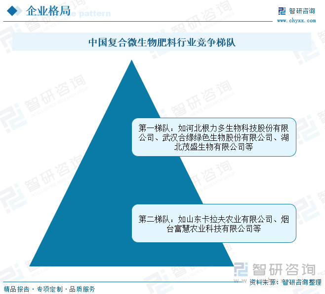 中国复合微生物肥料行业竞争梯队