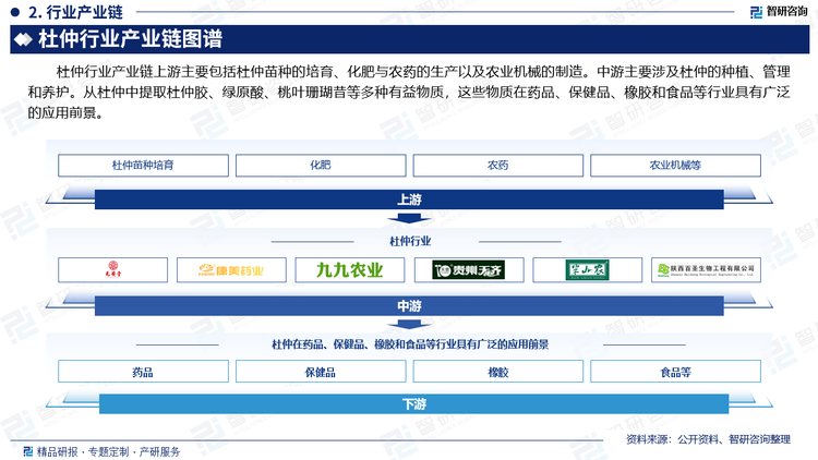 杜仲行业产业链上游主要包括杜仲苗种的培育、化肥与农药的生产以及农业机械的制造。中游主要涉及杜仲的种植、管理和养护。从杜仲中提取杜仲胶、绿原酸、桃叶珊瑚昔等多种有益物质，这些物质在药品、保健品、橡胶和食品等行业具有广泛的应用前景。