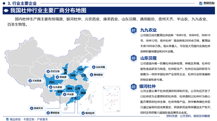 其中九九农业现已成功繁育杜仲良种“华仲5号、华仲8号、华仲10号、华仲12号、密叶杜仲”等良种苗2000余万株，繁育砧木苗1000余万株。现长势喜人，可在较大范围内实施杜仲良种的基地建设和对外出售。山东贝隆是国内唯一的集杜仲良种培育、种植及养殖、杜仲功能性食品研发与制造、杜仲胶生产、杜仲日化品的研发与销售为一体的中国杜仲产业领军企业，杜仲行业标准编制的制定者和参与者。银河杜仲主要从事于杜仲资源的利用和开发。公司先后开发了以杜仲皮为主要原料的杜仲茶、杜仲酒和以杜仲叶为核心配方喂养的杜仲生猪、杜仲鸡等产品，其中鹤寿牌杜仲茶已通过省级科技成果鉴定，获国家药监局保健品生产批文，同时还荣获第六届国际食品博览会金奖。