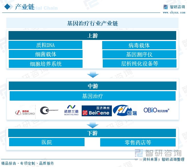 基因治疗行业产业链 