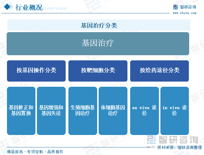 基因治疗分类