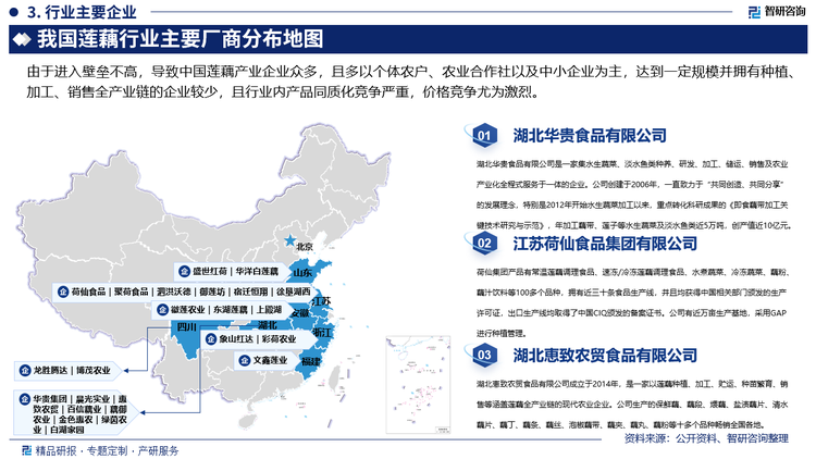 目前，我国莲藕行业内规模较大的企业主要包括华贵集团、荷仙食品、晨光实业、文鑫莲业、惠致农贸、百信藕业等，其中，华贵集团是一家集水生蔬菜、淡水鱼类种养、研发、加工、储运、销售及农业产业化全程式服务于一体的省级重点企业、湖北省技术企业，公司按照“公司+合作社+农户”的产业化模式，依托科研院所，推行订单农业，提供优质良种，开展标准化生产，实行保护价收购；现带动周边农户近万户，发展“藕带—鱼”综合种养模式面积4万多亩，还覆盖仙桃、监利、公安等县市近10万亩，亩获纯利6000多元，是常规养殖收入的三倍，仅此每年让当地农民创收1.5亿元。