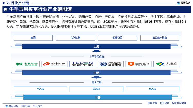 牛羊马用疫苗行业上游主要包括血清、化学试剂、药用包装、疫苗生产设备、疫苗检测设备等行业；行业下游为需求市场，主要包括牛养殖、羊养殖、马养殖行业，据国家统计局数据显示，截止2023年末，我国牛存栏量达10508.5万头，马存栏量359.1万头，羊存栏量32232.6万头，庞大的需求市场为牛羊马用疫苗行业发展带来广阔的增长空间。