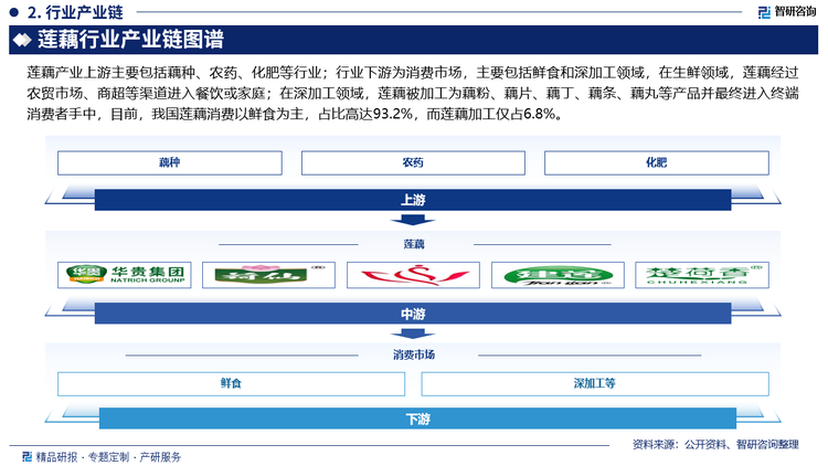 莲藕产业上游主要包括藕种、农药、化肥等行业；行业下游为消费市场，主要包括鲜食和深加工领域，在生鲜领域，莲藕经过农贸市场、商超等渠道进入餐饮或家庭；在深加工领域，莲藕被加工为藕粉、藕片、藕丁、藕条、藕丸等产品并最终进入终端消费者手中，目前，我国莲藕消费以鲜食为主，占比高达93.2%，而莲藕加工仅占6.8%。