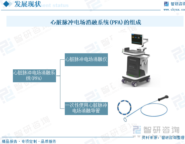 心脏脉冲电场消融系统(PFA)组成 