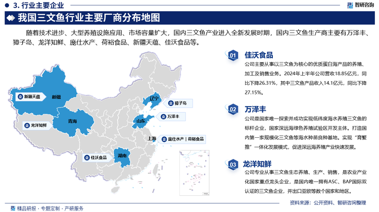 其中佳沃食品主要從事以三文魚為核心的優(yōu)質(zhì)蛋白海產(chǎn)品的養(yǎng)殖、加工及銷售業(yè)務。2024年上半年公司營收18.85億元，同比下降26.31%，其中三文魚產(chǎn)品收入14.1億元，同比下降27.15%。萬澤豐是國家唯一探索并成功實現(xiàn)低緯度海水養(yǎng)殖三文魚的標桿企業(yè)，國家深遠海綠色養(yǎng)殖試驗區(qū)開發(fā)主體。打造國內(nèi)第一家規(guī)?；聂~等海水種苗良種基地。實現(xiàn)“育繁推”一體化發(fā)展模式，促進深遠海養(yǎng)殖產(chǎn)業(yè)快速發(fā)展。龍洋知鮮專業(yè)從事三文魚生態(tài)養(yǎng)殖、生產(chǎn)、銷售，是農(nóng)業(yè)產(chǎn)業(yè)化國家重點龍頭企業(yè)，是國內(nèi)唯一擁有ASC、BAP國際雙認證的三文魚企業(yè)，并出口亞歐等數(shù)個國家和地區(qū)。