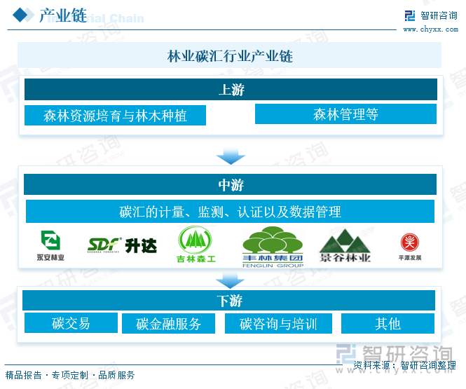 林业碳汇行业产业链 