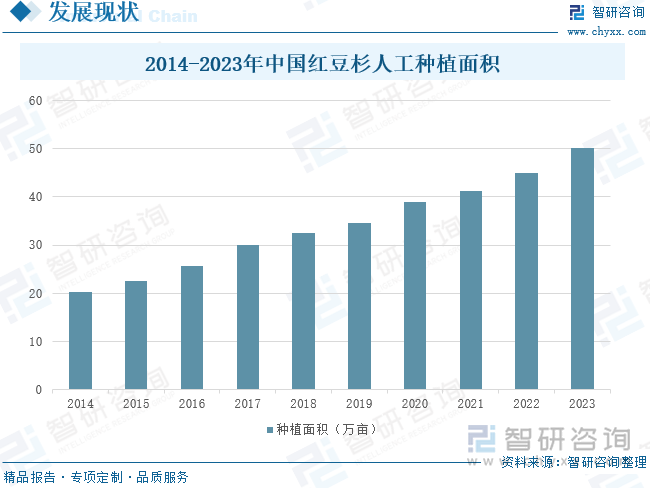 2014-2023年中国红豆杉人工种植面积