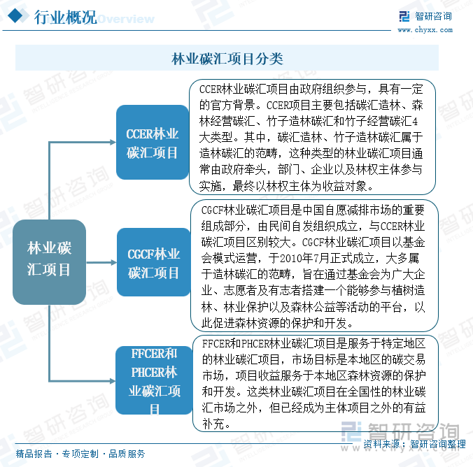 林业碳汇分类