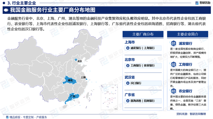 金融服务行业中，北京、上海、广州、湖北等地的金融科技产业集聚效应和头雁效应明显。其中北京市代表性企业包括工商银行、农业银行等，上海市代表性企业包括浦发银行、上海银行等，广东省代表性企业包括前海道胜、招商银行等，湖北省代表性企业包括汉口银行等。