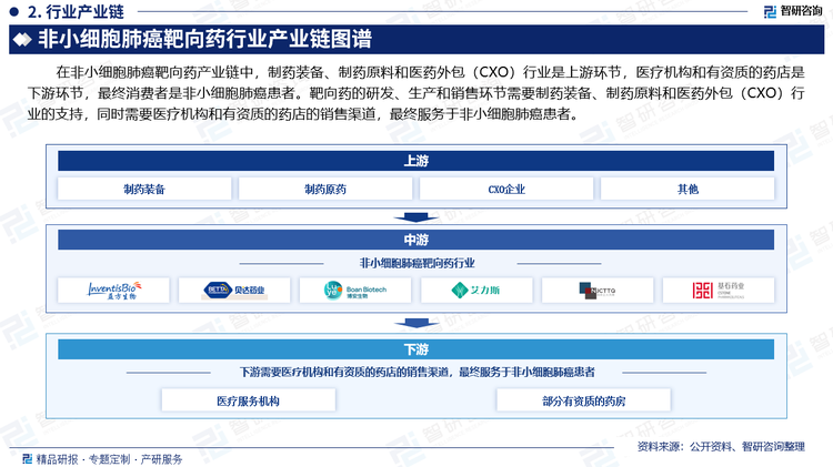 在非小细胞肺癌靶向药产业链中，制药装备、制药原料和医药外包（CXO）行业是上游环节，医疗机构和有资质的药店是下游环节，最终消费者是非小细胞肺癌患者。靶向药的研发、生产和销售环节需要制药装备、制药原料和医药外包（CXO）行业的支持，同时需要医疗机构和有资质的药店的销售渠道，最终服务于非小细胞肺癌患者。