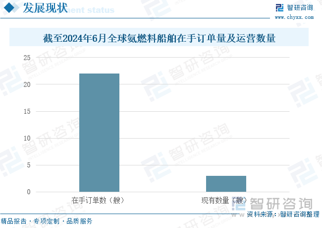 截至2024年6月全球氨燃料船舶在手订单量及运营数量