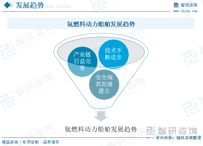 氨燃料动力船舶发展趋势