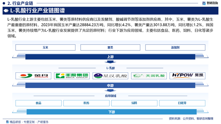 L-乳酸行业上游主要包括玉米、薯类等原材料供应商以及发酵剂、酸碱调节剂等添加剂供应商，其中，玉米、薯类为L-乳酸生产最重要的原材料，2023年我国玉米产量达28884.23万吨，同比增长4.2%，薯类产量达3013.88万吨，同比增长1.2%，我国玉米、薯类持续增产为L-乳酸行业发展提供了充足的原材料；行业下游为应用领域，主要包括食品、医药、饲料、日化等诸多领域。