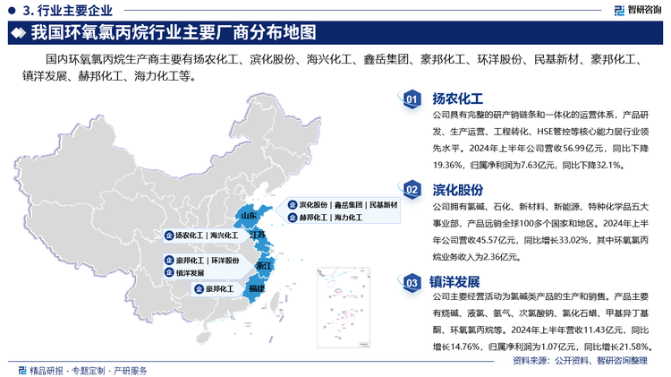 其中扬农化工具有完整的研产销链条和一体化的运营体系，产品研发、生产运营、工程转化、HSE管控等核心能力居行业领先水平。2024年上半年公司营收56.99亿元，同比下降19.36%，归属净利润为7.63亿元，同比下降32.1%。滨化股份拥有氯碱、石化、新材料、新能源、特种化学品五大事业部，产品远销全球100多个国家和地区。2024年上半年公司营收45.57亿元，同比增长33.02%，其中环氧氯丙烷业务收入为2.36亿元。镇洋发展主要经营活动为氯碱类产品的生产和销售。产品主要有烧碱、液氯、氢气、次氯酸钠、氯化石蜡、甲基异丁基酮、环氧氯丙烷等。2024年上半年营收11.43亿元，同比增长14.76%，归属净利润为1.07亿元，同比增长21.58%。