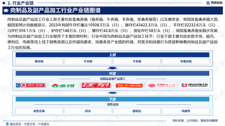 肉制品及副产品加工行业上游主要包括畜禽养殖（猪养殖、牛养殖、羊养殖、家禽养殖等）以及屠宰业，我国是畜禽养殖大国，据国家统计局数据显示，2023年我国牛存栏量达10508.5万头（只）、猪存栏43422.3万头（只）、羊存栏32232.6万头（只）、马存栏359.1万头（只）、驴存栏146万头（只）、骡存栏43.8万头（只）、骆驼存栏58万头（只），我国畜禽养殖业稳步发展，为肉制品及副产品加工行业提供了丰富的原材料；行业中国为肉制品及副产品加工环节；行业下游主要包括农贸市场、超市、便利店、电商等线上线下销售渠道以及终端消费者，消费者是产业链的终端，其需求和消费行为直接影响着肉制品及副产品加工行业的发展。