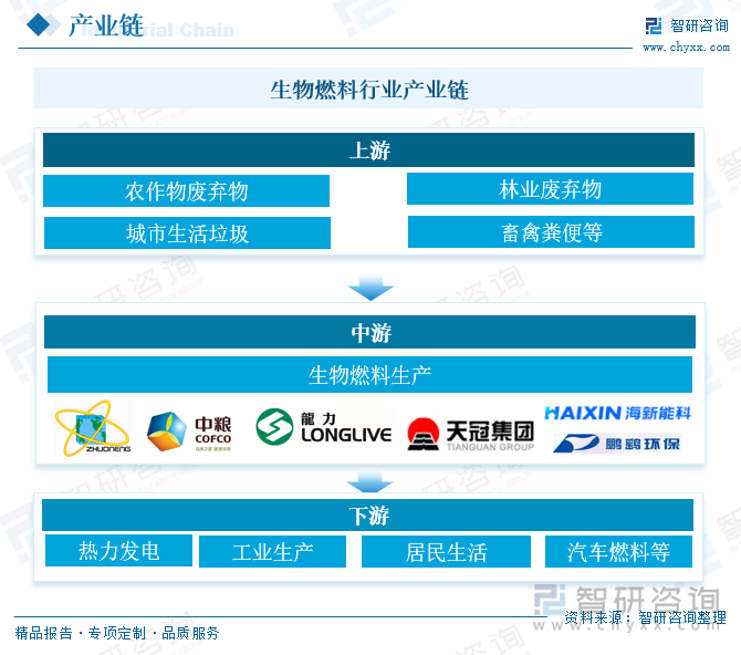 生物燃料行业产业链 