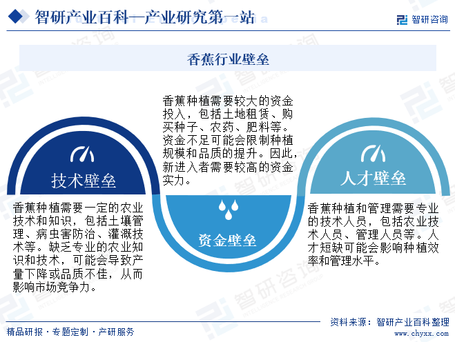 香蕉行业壁垒